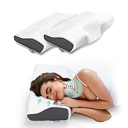 Derila Memory Foam Pillows