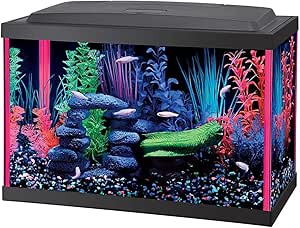 aquarium buy