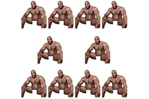 JJIJIAN 10Pcs Funny Barry Wood Light Switch Sticker Decals，3''x3.4'' Waterproof Vinyl Stikers for Laptop Window Wall Bumper Helmet, Joking Prank Tease Artifact Stickers for Adults（Barry Wood Sitting On Bed）