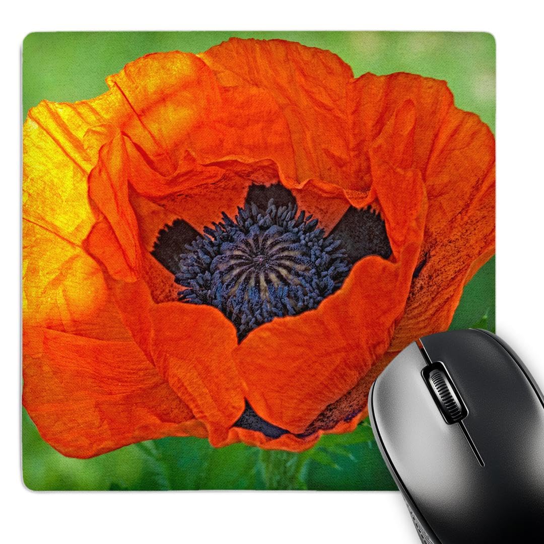 3dRose mp_230823_1 8" x 8" Close-Up of a Flowering Orange Poppy Plant. Mouse Pad
