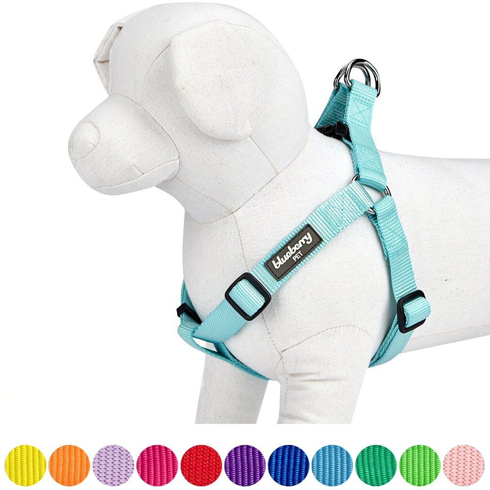 Blueberry Pet Stepin Classic Dog Harness, Chest Girth 42cm54cm, Mint