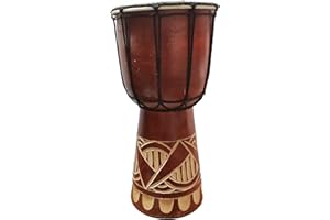 STONEAGE ARTS Djembe Drum Carved Bongo African inspired music also a unique gifting idea. Carver Abstract Elephant Giraffe Turtle. (12 Inch, Abstract)