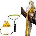 Pet Parrot Bird Harness Leash Adjustable Bird Flying Harness Traction Rope with Cute Wing for Parrots Pigeons Budgerigar Lovebird Cockatiel Mynah Outdoor Training Toy (XL, Yellow)