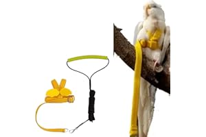 BARN ELEVEN Pet Parrot Bird Harness Leash Adjustable Bird Flying Harness Traction Rope with Cute Wing for Parrots Pigeons Budgerigar Lovebird Cockatiel Mynah Outdoor Training Toy (M, Yellow)