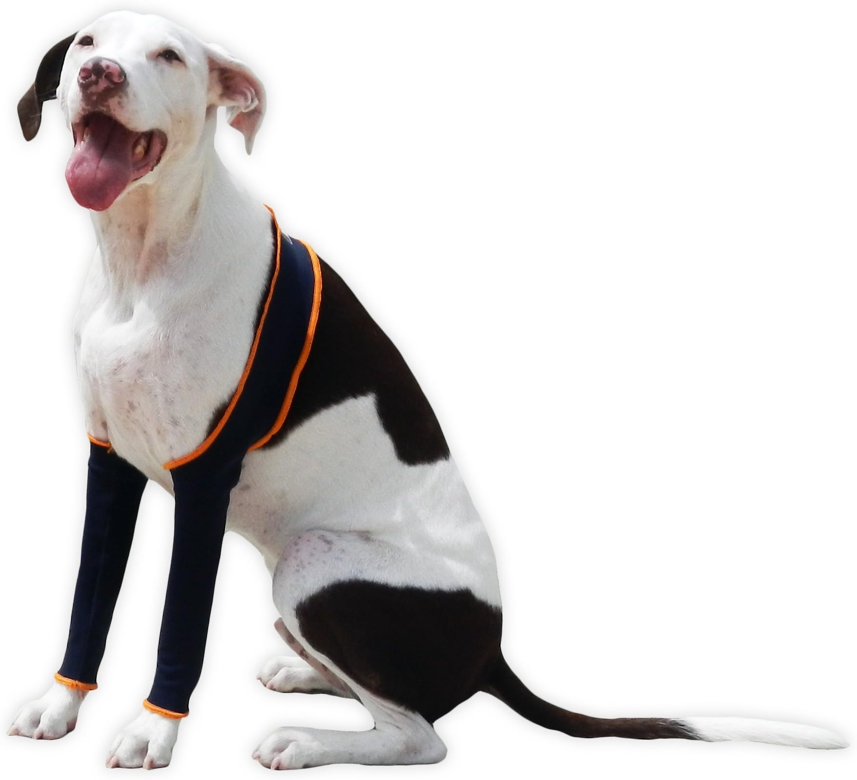 H4Legs Dog Leggings, Medium, Navy Blue