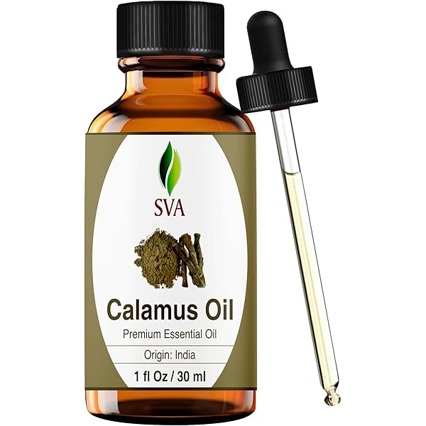 Huile Essentielle : Acore Vrai Extra (Calamus) BIO - Acorus