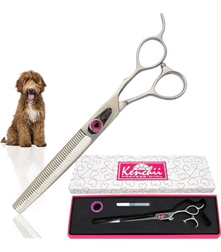 Amazon.com: DOGWELL Curve Scissors DRK-62 (Japan Import) : Pet