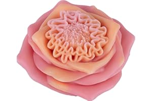 EVERELAM Flower Succulent Rose Peony Molds Silicone Wave Spiral Candle Mold - Silicone Resin Casting Molds for Candle & Resin & Soap Craft Supplies