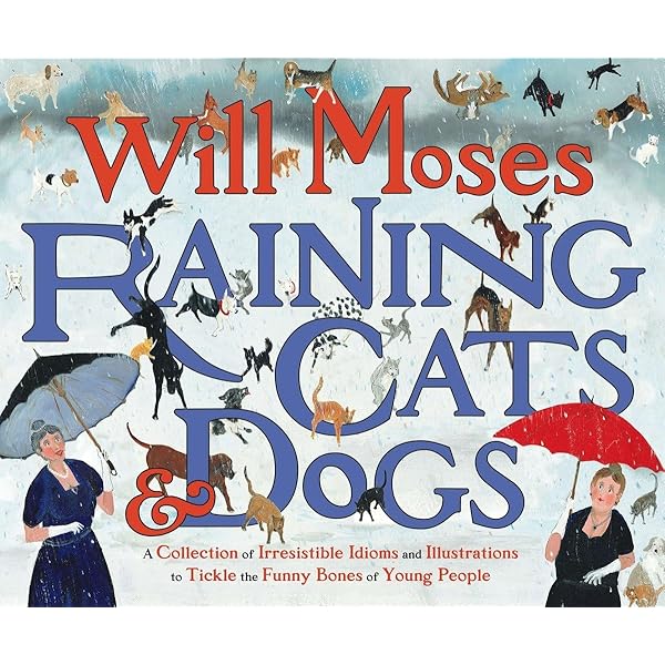 Raining Cats and Dogs 未開封BOX its-raining-cats-dogs-autumn-