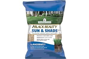 GOODFAIR Jonathan Green 12002 Black Beauty Sun & Shade Grass Seed Mixture, 3 Lb