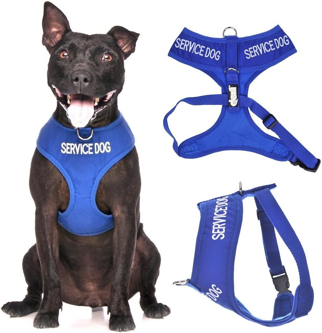 warning dog harness
