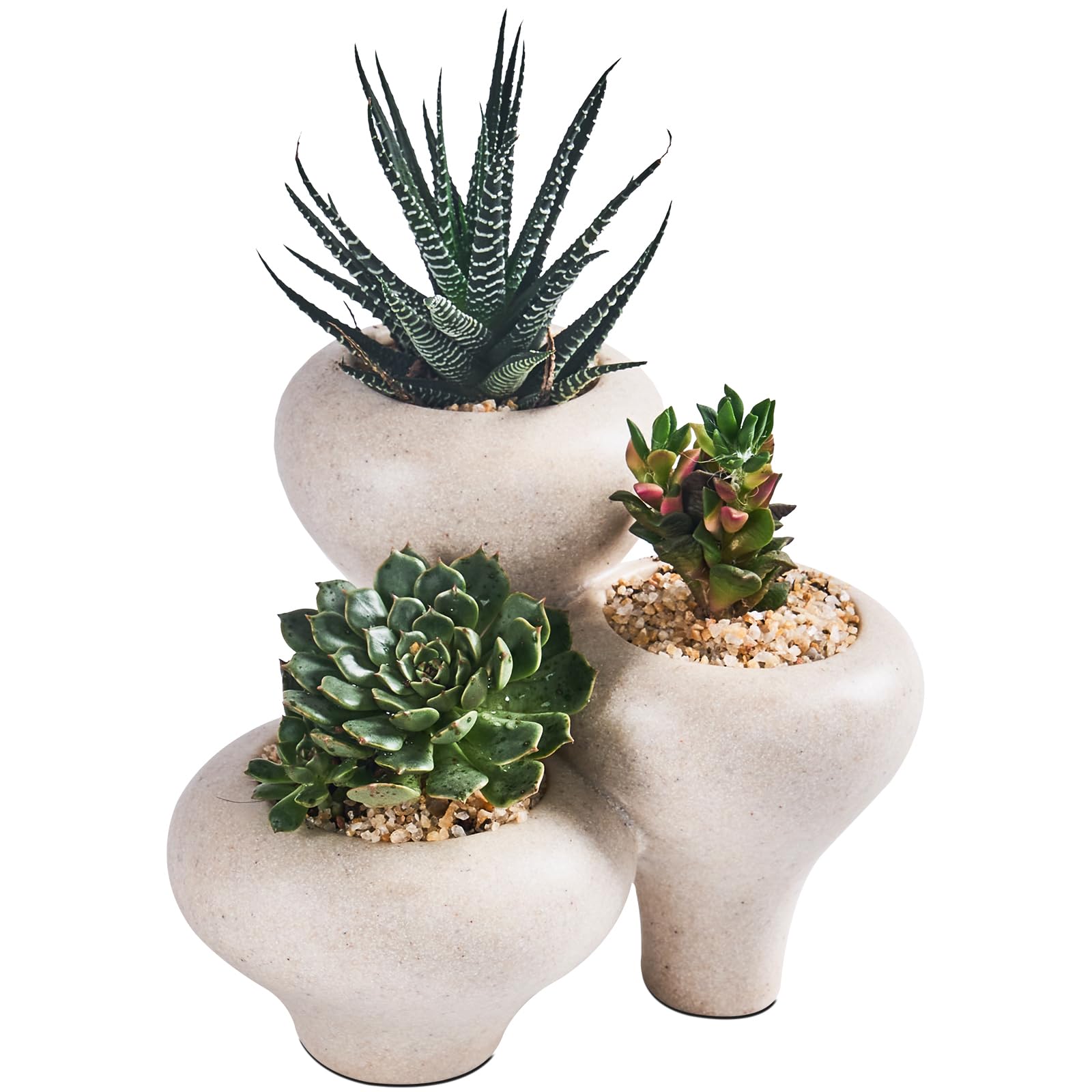 Photo 1 of HOLOLA Beige Sandstone 3-in-1 Small Succulent Pots, Indoor Succulent Planters, Cute Cactus Bonsai Flowers Pots for Home Decor, Office, Garden Mini Cactus Plant Pot Modern Decorative, Gift