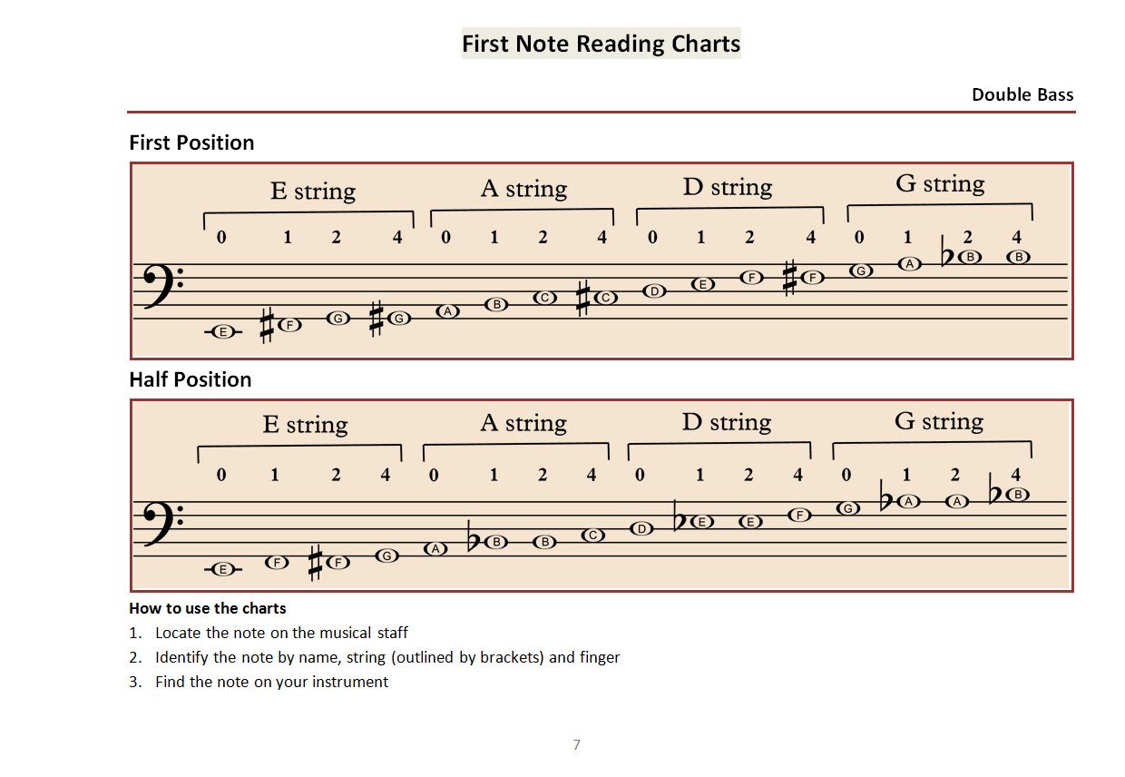 Double Bass Strings Notes Guitar