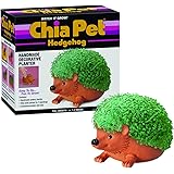 Chia Pet Hedgehog Decorative Pottery Planter with Seed Pack, Decorative Pottery Planter, Easy to Do and Fun to Grow, Novelty 