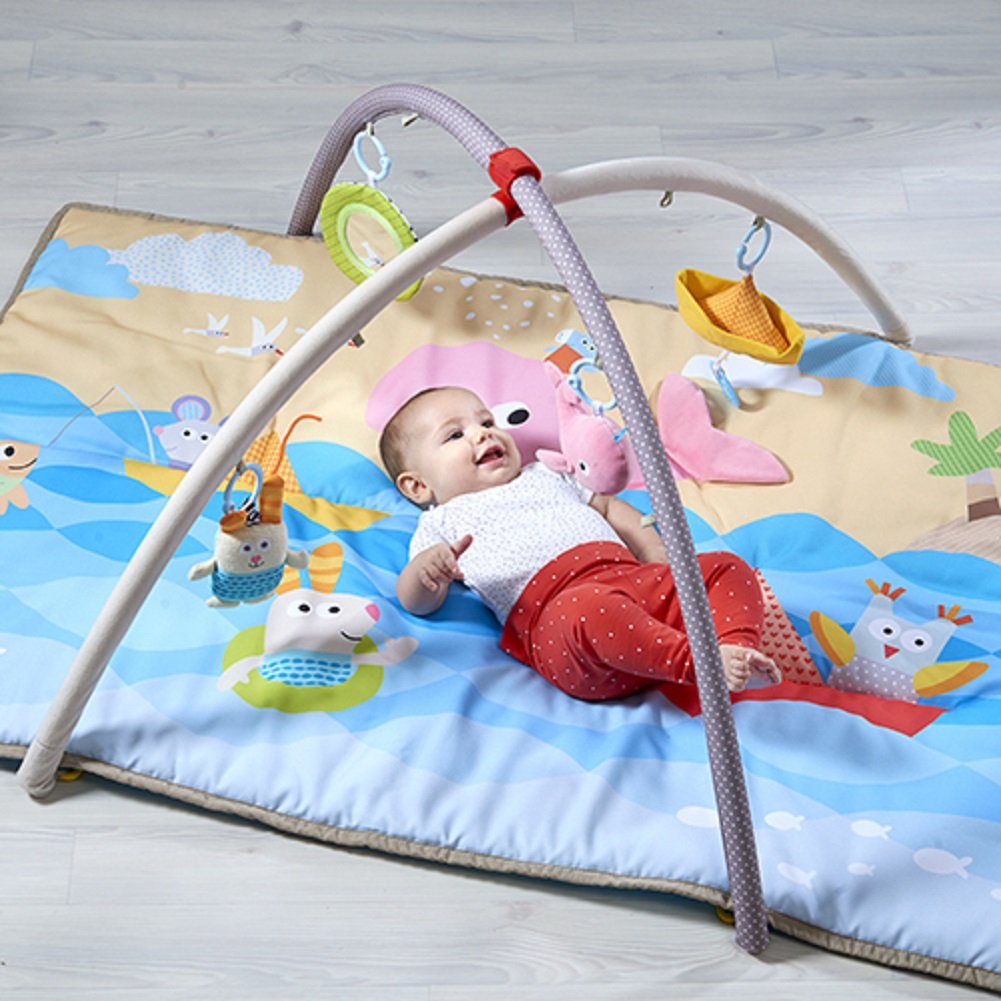 taf toys baby gym