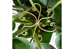 Goooxim 5PCS Monstera Plant Stem Support Hook - 6.5 * 6.5IN Durable Metal Stem Stabilizer for Monstera Plants and Fishbone Cactus - Gentle Protection Leaf Holder - Easy Installation - 5 Piece Set