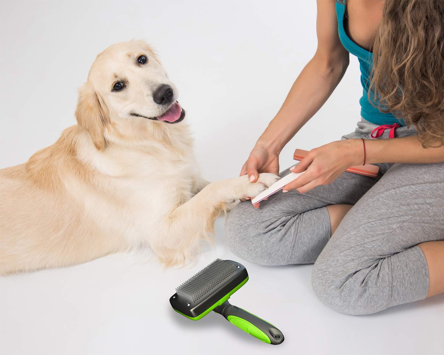 Tminnov Self Cleaning Slicker Brush, Dog Brush / Cat Brush for Shedding and Grooming, Deshedding Tool for Pet - Gently Removes Long and Loose Undercoat, Mats and Tangled Hair: Beauty
