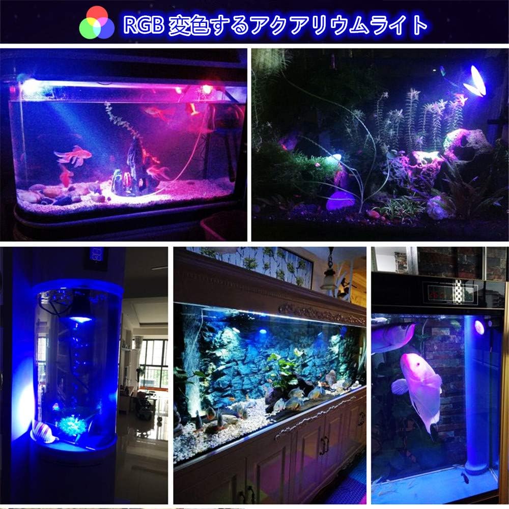 Amazon Sailun 水槽用 Led ライト 水中照明 アクアリウムライト 4点式 省エネ 水陸両用 Rgbカラフル Sailun ライト 照明 通販 Amazon Sailun 水槽用 Led ライト 水中照明 アクアリウムライト 4点式 省エネ 水陸両用 Rgbカラフル Sailun ライト 照明 通販