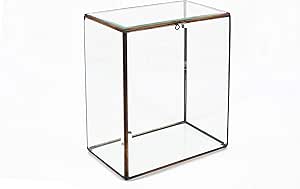 Moycor Bisel Caja Grande, 25x15x37 cm, Cristal, Bronce ...