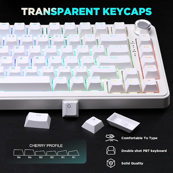 YUNZII B75 MECHANICAL KEYBOARD,75% LAYOUT WITH KNOB,HOT SWAPPABLE RGB BACKLIT GASKET MOUNTED, CREAMY TYPING, DOUBLE-SHOT PBT KEYCAPS,CHERRY PROFILE,FOR WIN/MAC (WHITE, BLUE GREY TACTILE SWITCH)