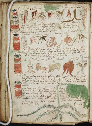 Download The Complete Voynich Manuscript (Illustrated) (English Edition) PDF