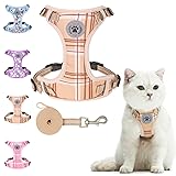 BEAUTYZOO Cat Harness and Leash Set for Walking