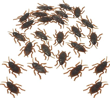 plastic toy cockroaches