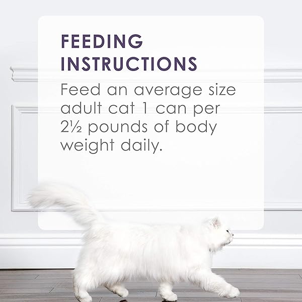 PURINA FANCY FEAST GRILLED WET CAT FOOD BEEF FEAST IN WET CAT FOOD GRAVY – (PACK OF 24) 3 OZ. CANS