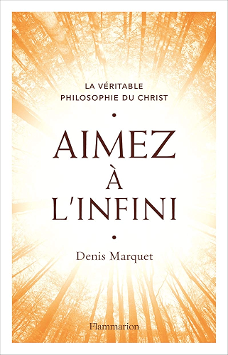 Download Aimez à l'infini (Essais) PDF