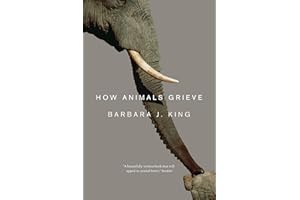 How Animals Grieve