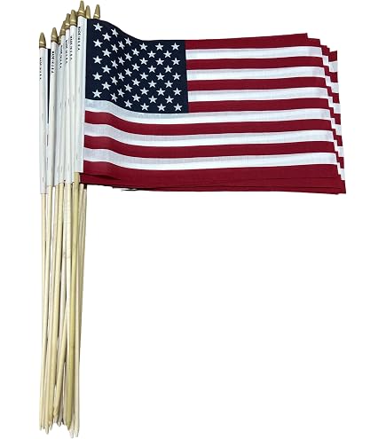 Bandiera Americana Afroamericana 12×18 Con Bastone – Trade Winds – Poliestere