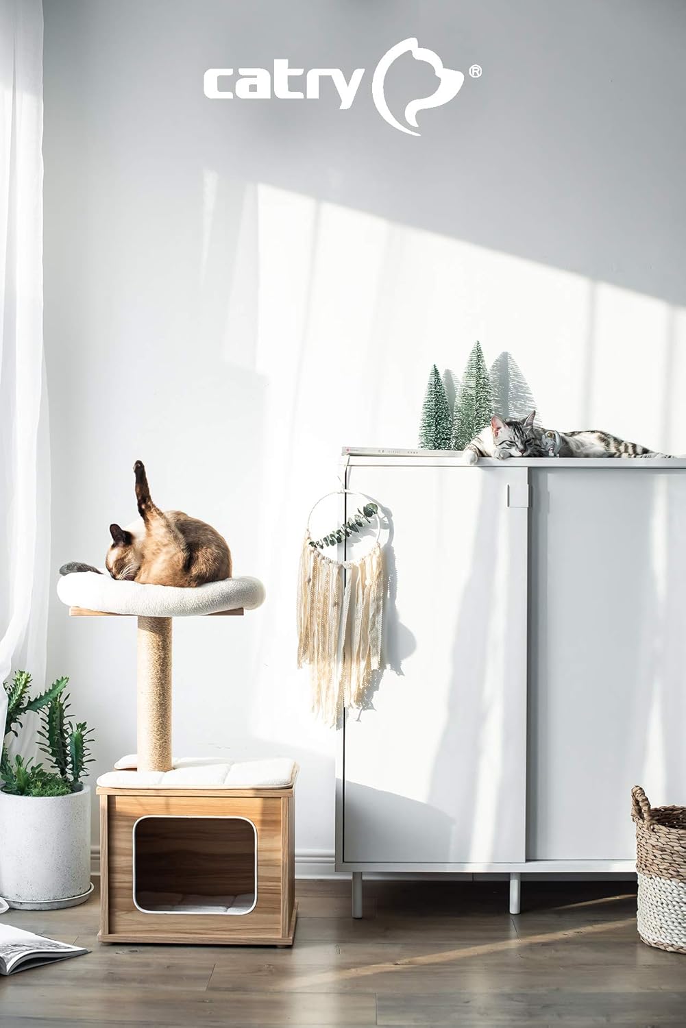 Catry, Wooden Cat Tree Condo with Natural Sisal Rope Scratching Post for Kitten : Pet Supplies