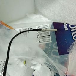 Inkbird IBS-TH1 Plus Bluetooth Registrador de Temperatura y ...