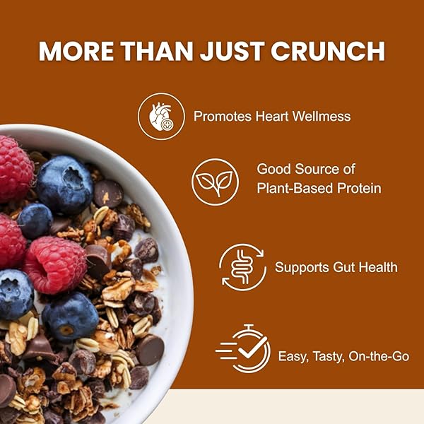ERIN BAKER’S HOMESTYLE DOUBLE CHOCOLATE GRANOLA WITH ANCIENT GRAINS – MADE FROM NATURAL INGREDIENTS, CRUNCHY, VERSATILE SNACK OR CEREAL – VEGAN FRIENDLY, NON-GMO, RESEALABLE 12OZ BAG