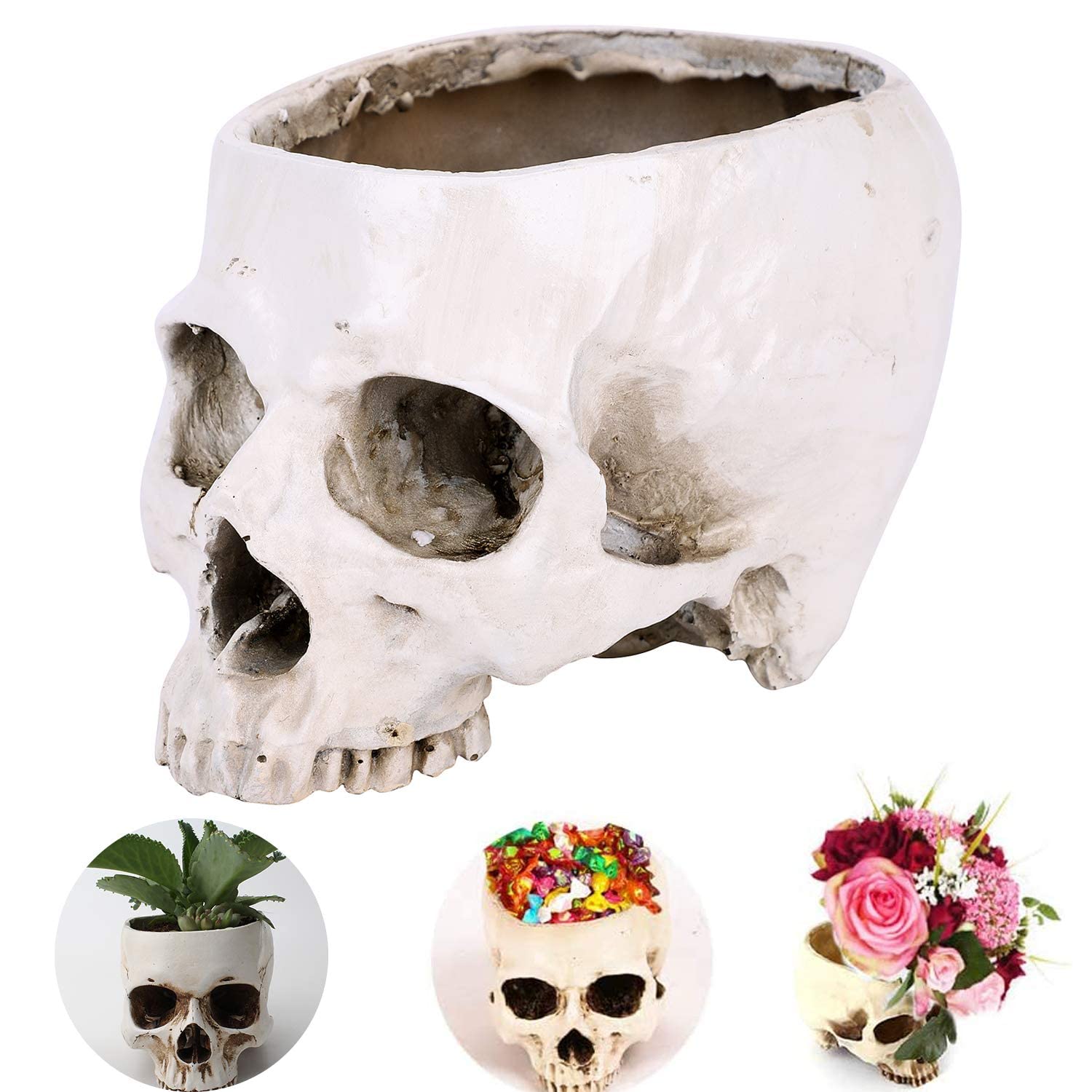 Halloween Skull Decorations Ornament Halloween Resin Skull Head Flower Pot Vintage Halloween Ornaments for Home Multifunctional Skull Plant Pot Container Halloween Tricky Props Human Skeleton Model