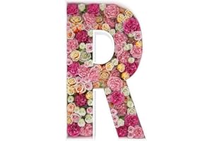 JW PASSION - PREMIUM QUALITY, MADE WITH PASSION 2FT Letter R Mosaic Balloon Frame Letter DIY Fillable Letters Kit for Birthday Party Wedding Backdrop Decor