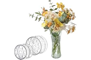 MUMUWU 2PCS 2024 Spiral DIY Ikebana Stem Holder Ring Spiral Stem Holder for Vases, Spiral Flower Stem Holder for Flower DIY Bouquet Twister Flower Arrangement Holder, MUMUWU-SH001-2-US