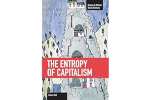 The Entropy of Capitalism (Studies in Critical Social Sciences)