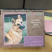 we rate dogs day to day calendar