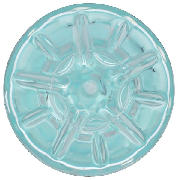 EVAMOR ARTESIAN WATER, 20 OZ