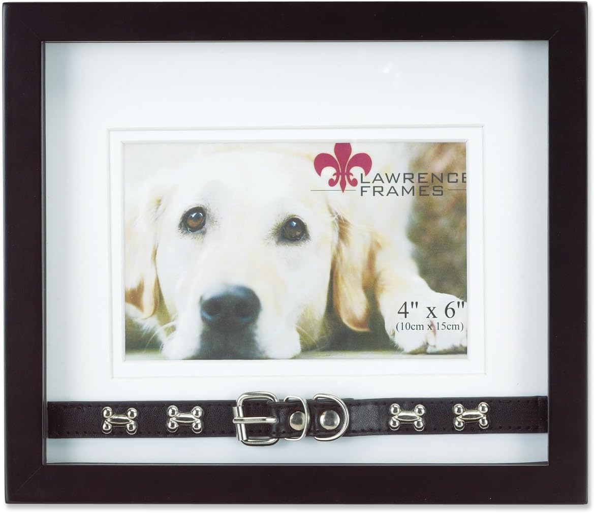 dog collar picture frame