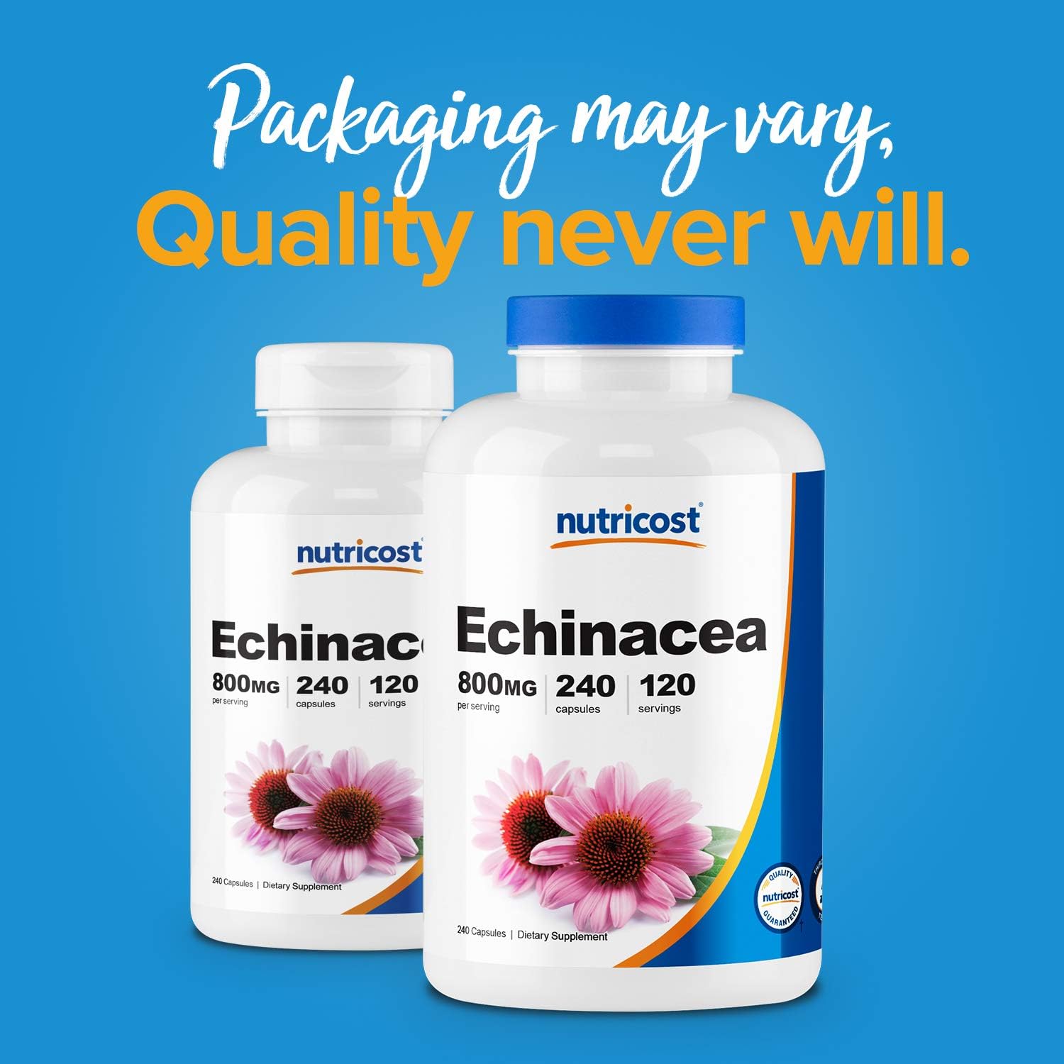 Nutricost Echinacea 800mg, 240 Capsules - Veggie Caps, Non GMO, Gluten Free, 120 Servings: Health & Personal Care