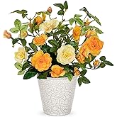 Hollyone Artificial Plants & Flowers in Vase Yellow Camellia Roses Small Faux Flower Plant Arrangement with Pot Fake Rose Flowers Home Decor Office Bathroom Shelf Desk Table Decoration