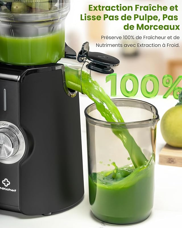 Extracteur de Jus Vertical Slow Juicer 200W pour Fruits & Légumes