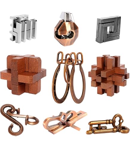 Amazon.com: Zooshine 4 Sets Advanced Metal Brain Teasers Puzzles
