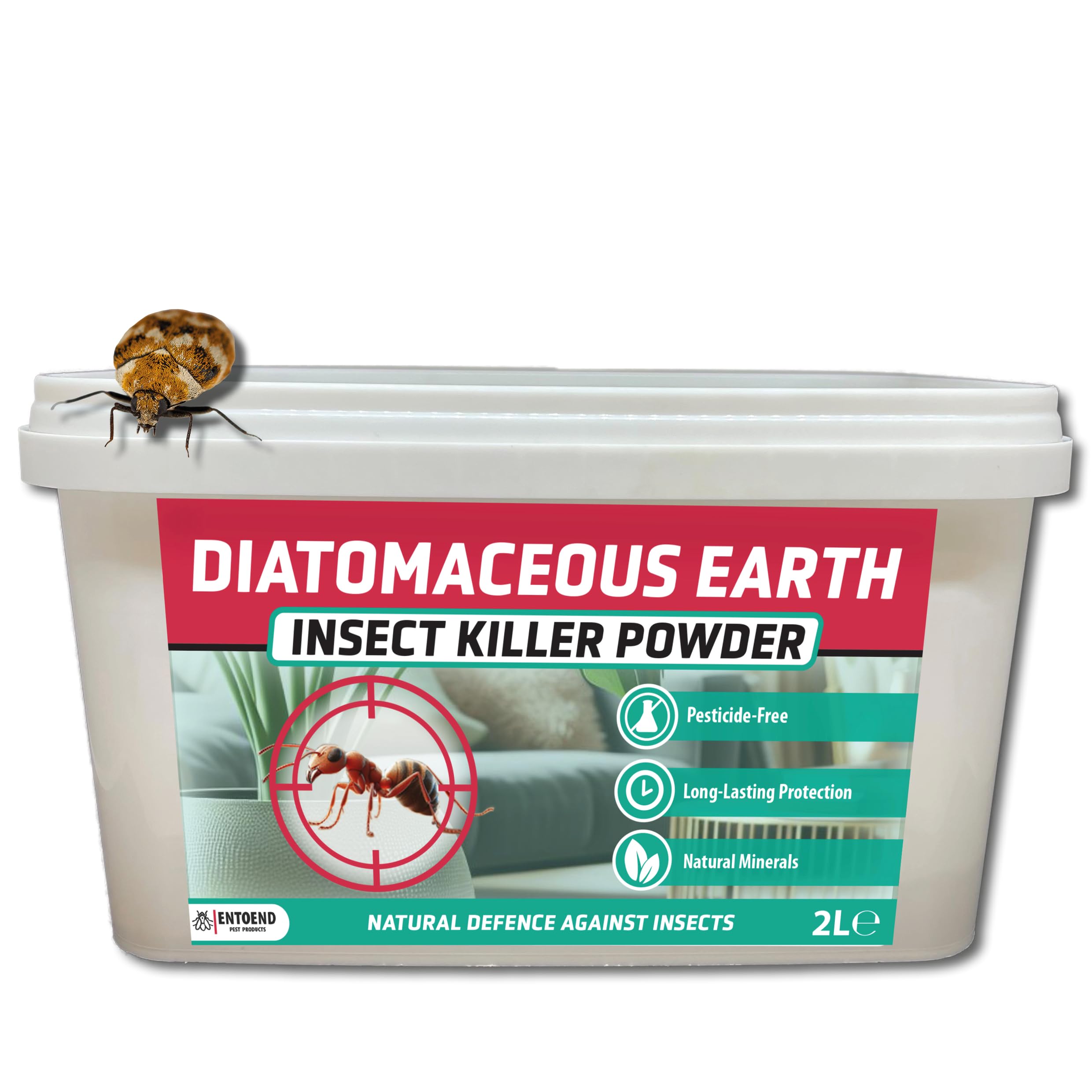 ENTOEND Diatomaceous Earth Insect Killer Powder 1KG - Natural & Feed Grade Indoor Pest Control - Ant Killer, Bed Bug Killer, Carpet Beetle Killer, Cockroach Killer, Flea Killer, Silverfish Killer