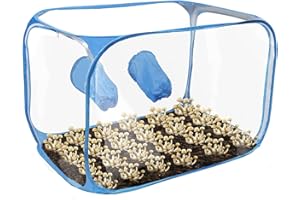 BIGKING Mushroom Grow Tent - Portable Large Still Air Box, Mycology Mushroom Growing Kit, Indoor Propagation Stations with 2 Built-in Air Filters, 35.4 x 23.6 x 23.6 inches(Blue/Black Random)