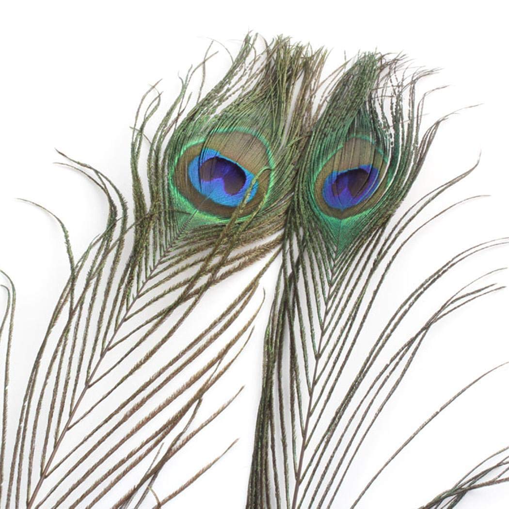 Blueis 10Pcs Natural Peacock Feathers for Crafts, Peacock Feathers in Bulk, Peacock Tail Feathers for Decor (Length:25~30cm) Feathers & Boas