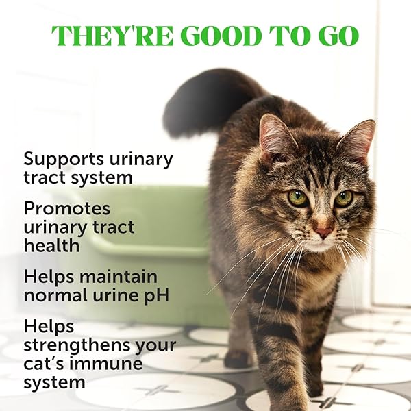 CAT URINARY TRACT HEALTH CRUNCHY & CREAMY CHEWS – PROMOTES HEALTHY DIGESTION & NORMAL BLADDER FUNCTION WITH CRANBERRY, ANTIOXIDANTS, & PROBIOTICS – GUT + BLADDER SUPPORT SUPPLEMENT (30 DAY SUPPLY)