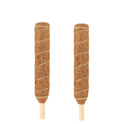 LIVEONCE Coco Pole -Moss and Coir Stick for Indoor, House and Plant Creepers Support 1 FEET -Pack of 2 -Color -Natural